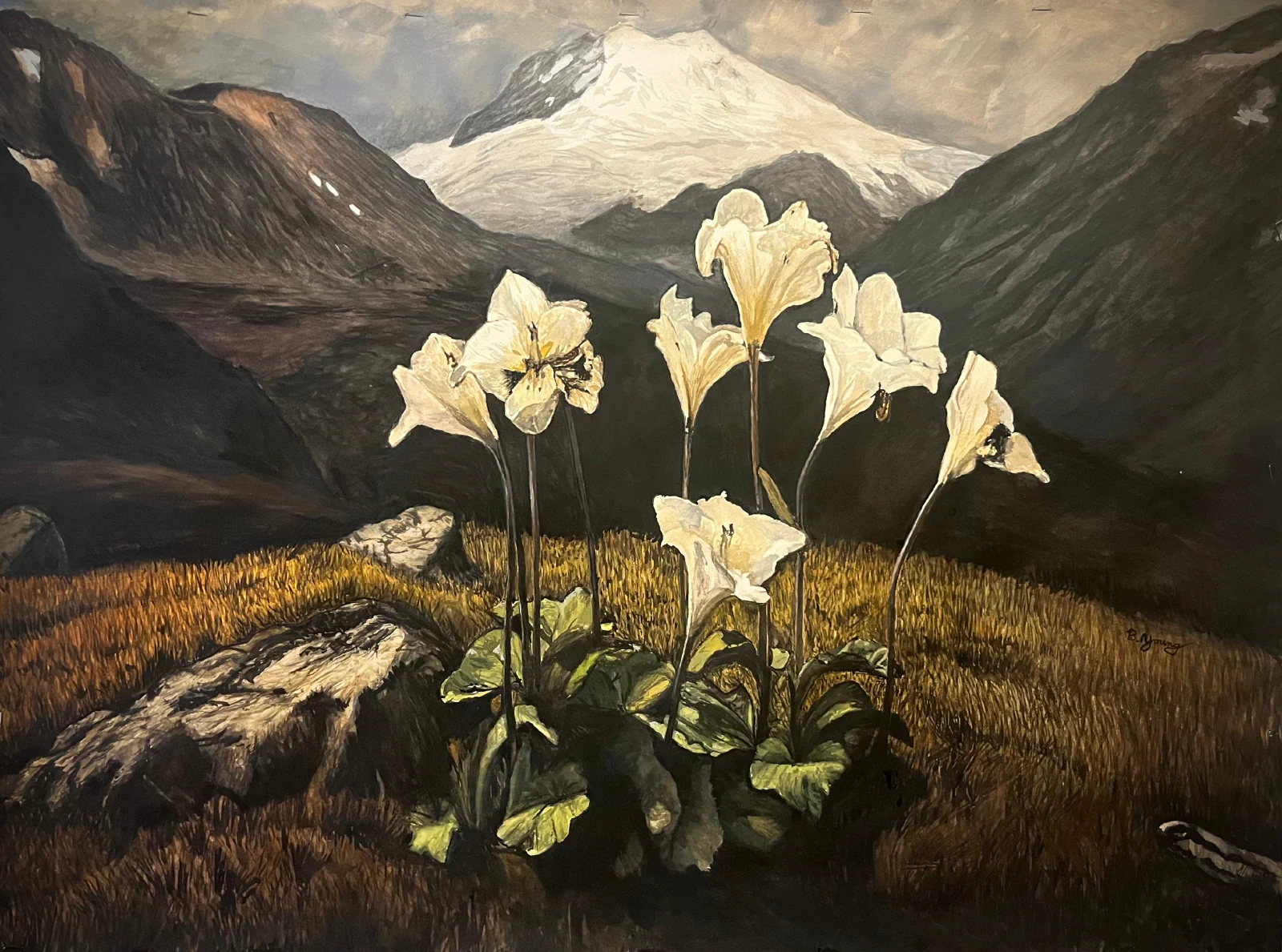 This watercolor painting depicts delicate white lilies illuminated against a rugged alpine landscape with golden grasses, shadowed mountains, and a snow-capped peak under a golden hour sky.