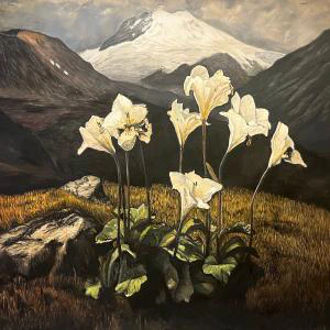 This watercolor painting depicts delicate white lilies illuminated against a rugged alpine landscape with golden grasses, shadowed mountains, and a snow-capped peak under a golden hour sky.