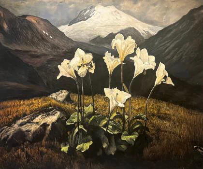 This watercolor painting depicts delicate white lilies illuminated against a rugged alpine landscape with golden grasses, shadowed mountains, and a snow-capped peak under a golden hour sky.