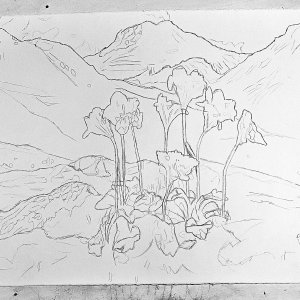 Progress step 1