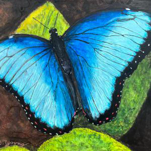 This watercolor painting features a vibrant blue butterfly resting on green and yellow leaves, with a dark, earthy background that highlights the butterfly's striking color.