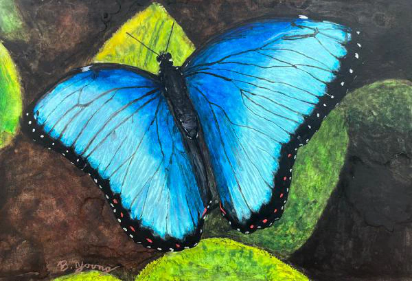 This watercolor painting features a vibrant blue butterfly resting on green and yellow leaves, with a dark, earthy background that highlights the butterfly's striking color.