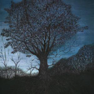 In this evocative water color painting by Ben Young, a majestic tree stands prominently against a dusky sky, its intricate branches silhouetted by the soft glow of twilight.