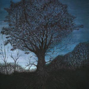 Fry's Tree (2024) by Ben Young In this evocative water color painting by Ben Young, a majestic tree stands prominently against a dusky sky, its intricate branches silhouetted by the soft glow of twilight.