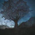 Fry's Tree
