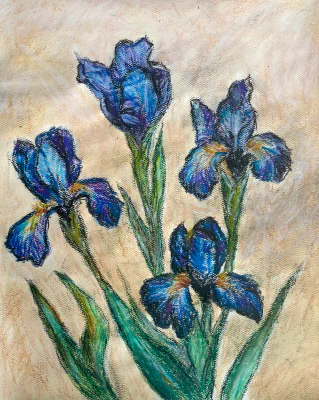 Iris Flowers (2025) by Ben Young A oil pastel painting portraying iris flowers