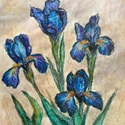 Iris Flowers