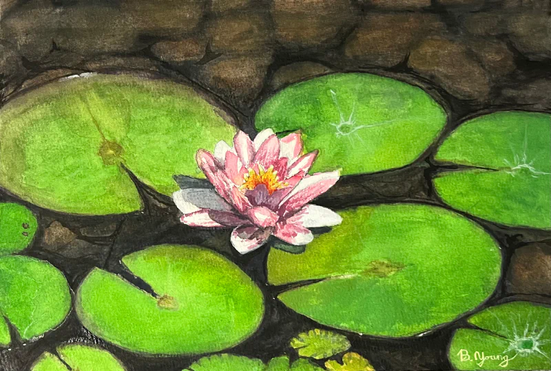 This watercolor painting depicts a serene pond with vibrant green lily pads and a delicate pink water lily blooming at the center.