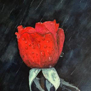 A vibrant red rose glistens with dewdrops against a dark, atmospheric background, creating a striking contrast and a sense of delicate elegance in this watercolor painting.