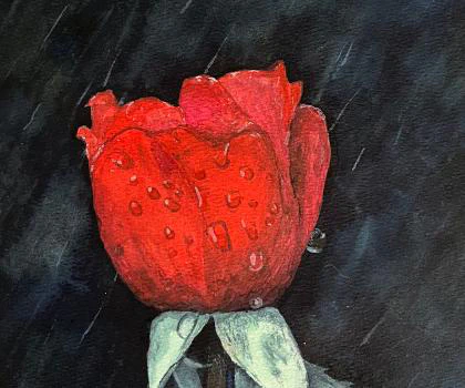 A vibrant red rose glistens with dewdrops against a dark, atmospheric background, creating a striking contrast and a sense of delicate elegance in this watercolor painting.