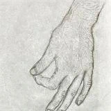 The drawing displays a detailed pencil sketch of a human hand with a gentle curvature of the fingers and intricate line work that captures the texture of the skin.