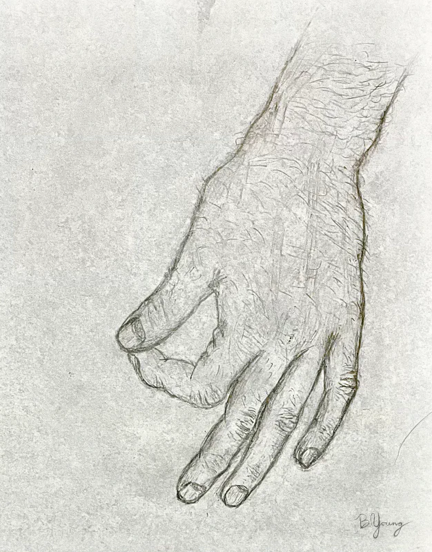 The drawing displays a detailed pencil sketch of a human hand with a gentle curvature of the fingers and intricate line work that captures the texture of the skin.