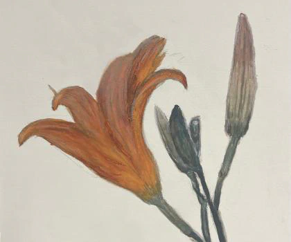 This painting by Ben Young is a close up watercolor painting of tawny lily.