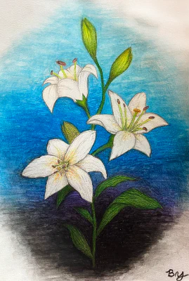 Tomb Flowers (2024) by Ben Young Tomb Flowers is a watercolor pencil drawing, with a brushed and washed colorful background, of white lilies.