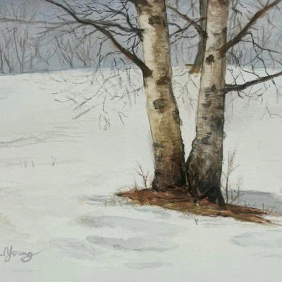 Winter Birch I