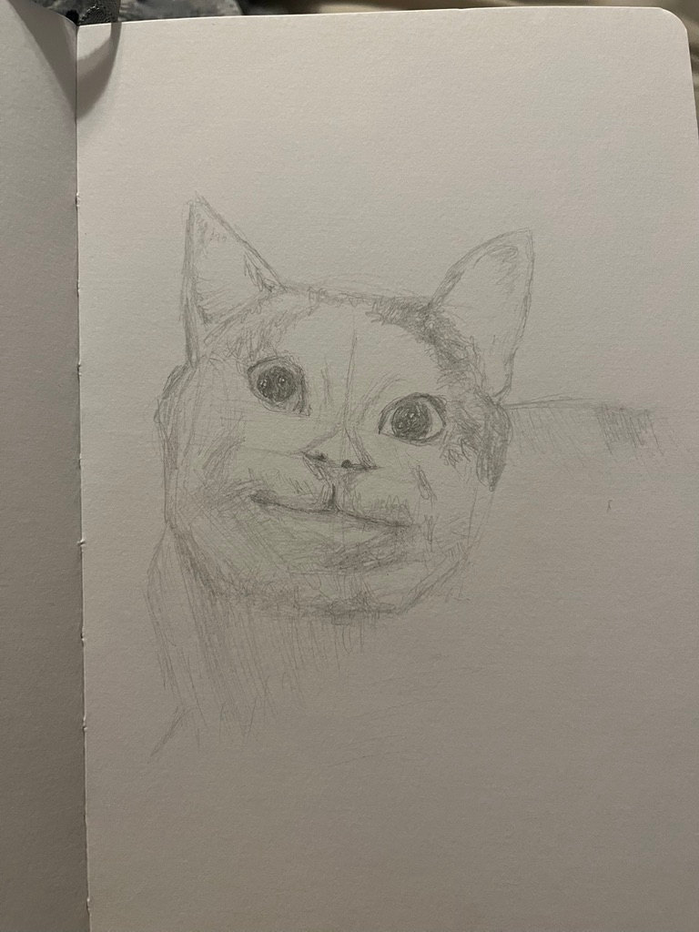 Cat Sketch